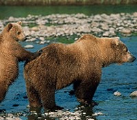 Endangered Wildlife Refuge